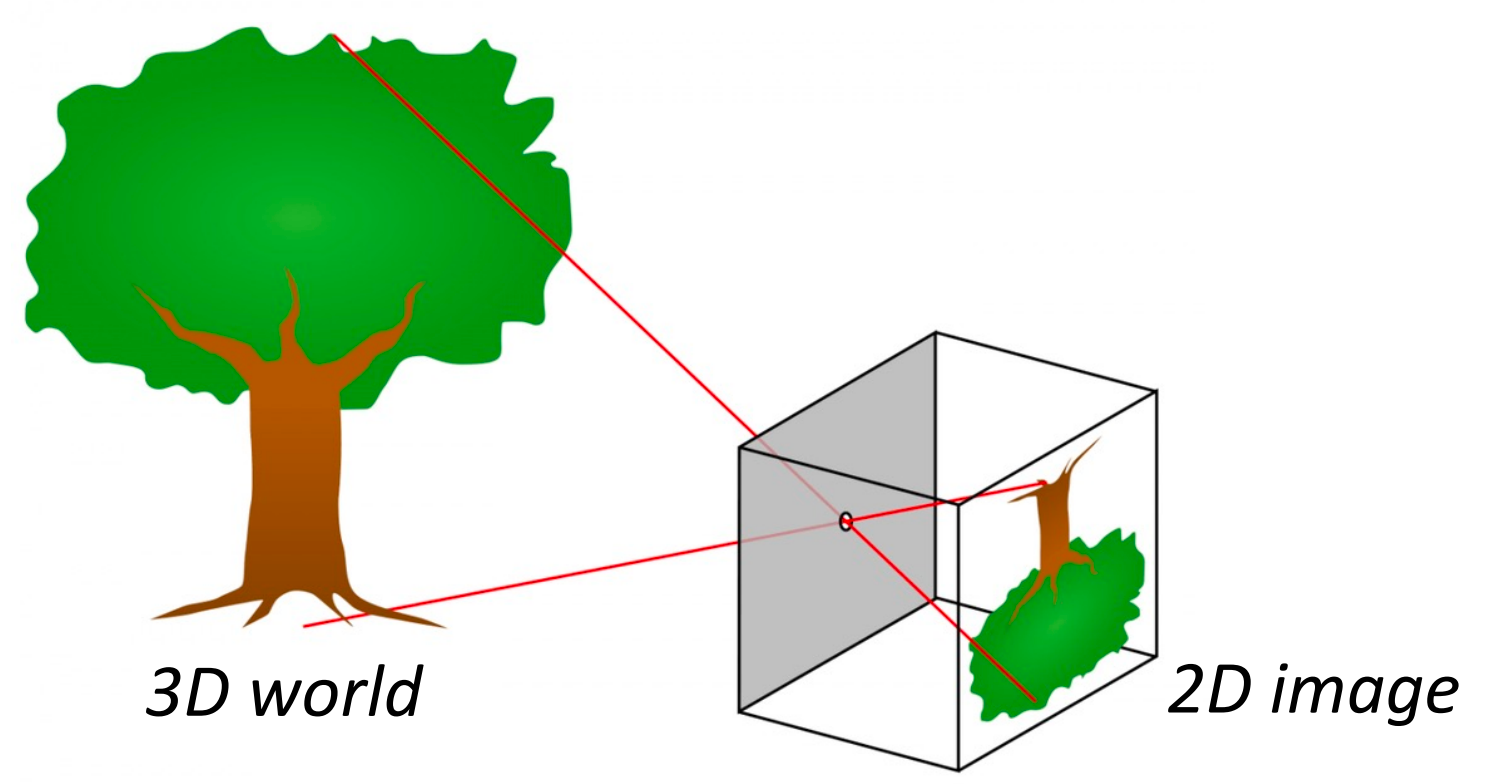 image-20260102113448881