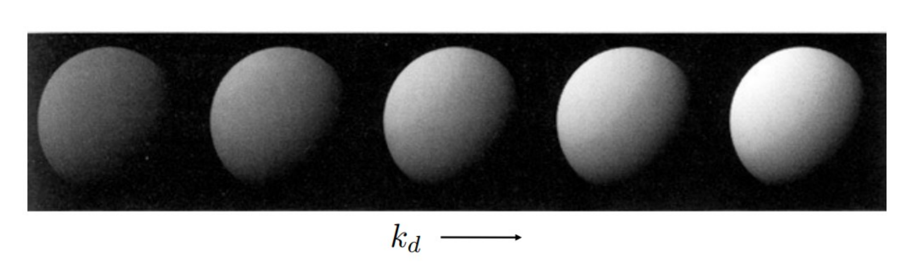 image-20260102144029625